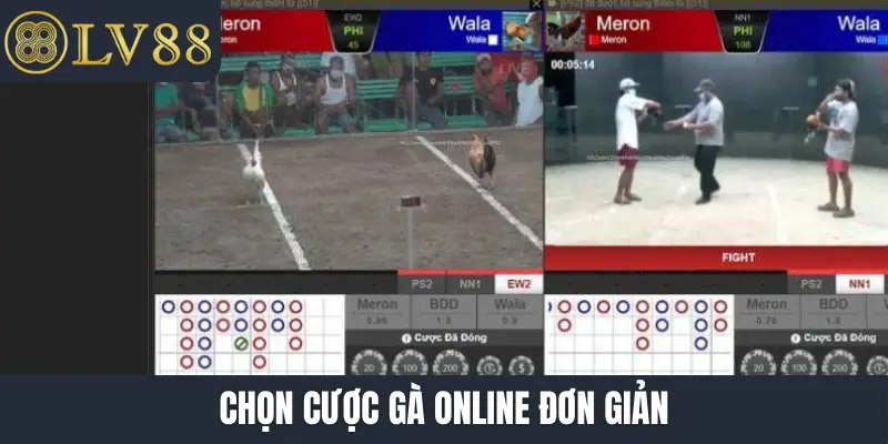 Chọn cược gà online đơn giản